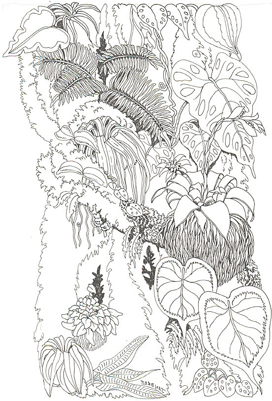Umbrella Coloring Mural Tree Trunk Reverse
